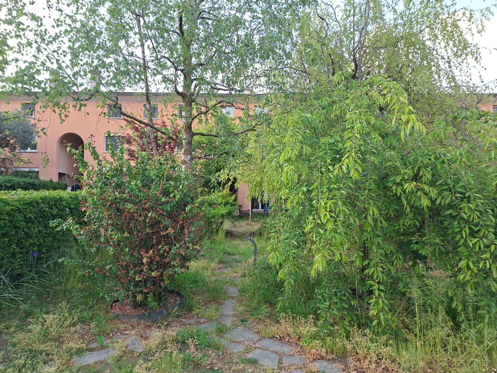 Giardino residenziale incolto con erba alta e infestanti prima dei lavori