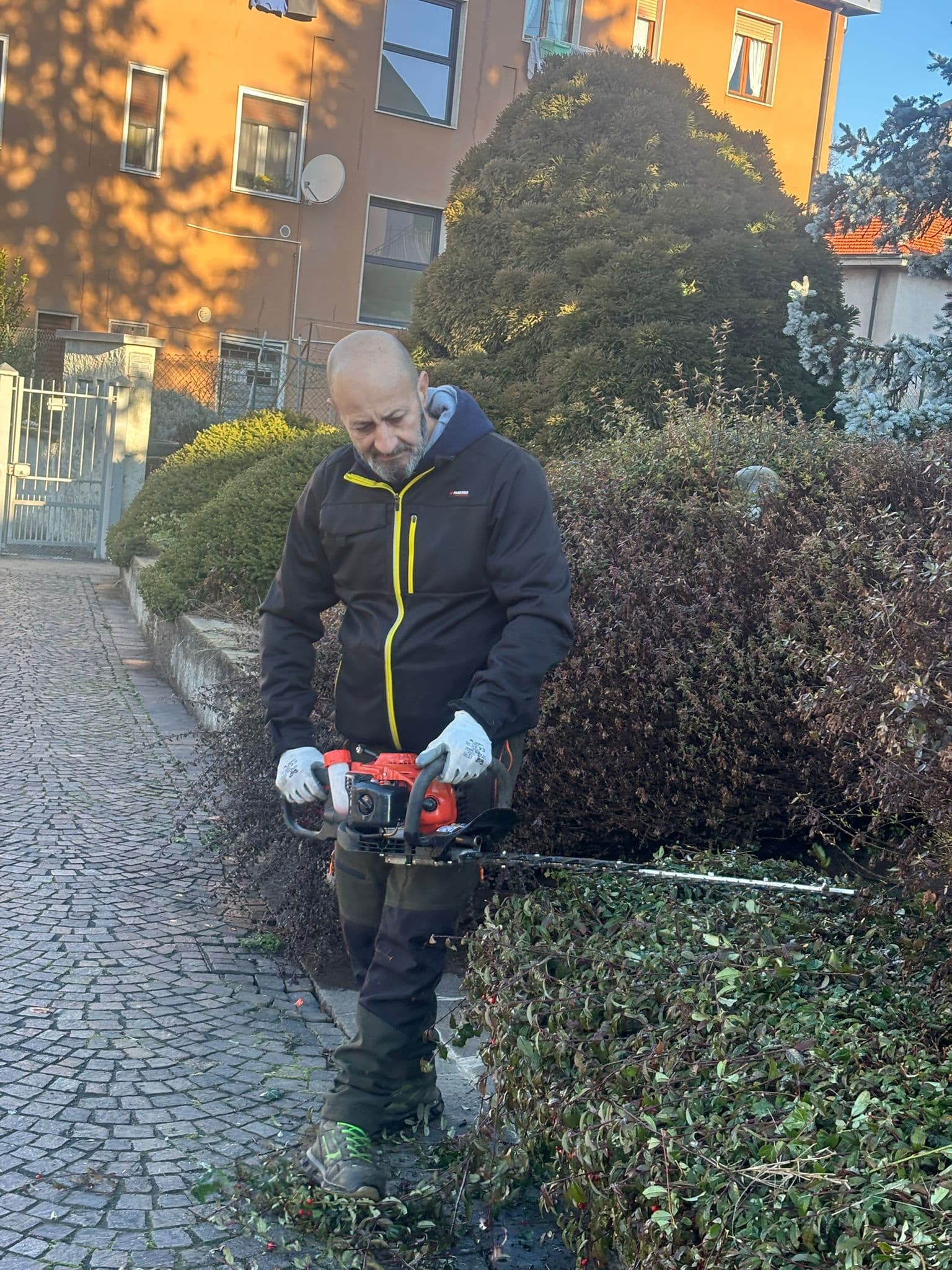 Lavoro sul campo