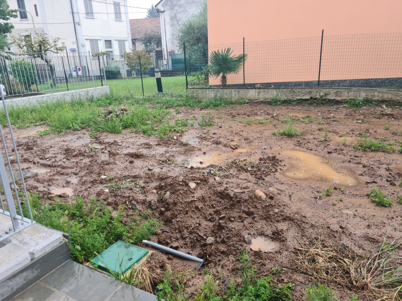 Prato trascurato prima dell'intervento di posa